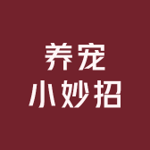养宠小妙招