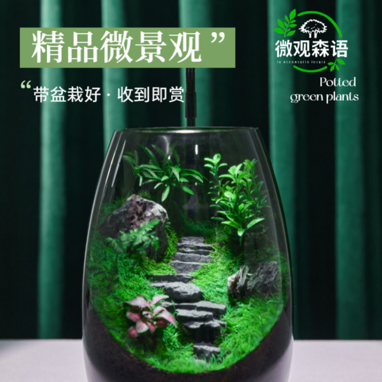 微观森语