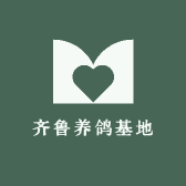 齐鲁养鸽基地