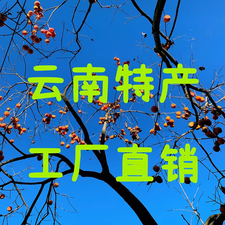 昆明市空港经济区宇彤副食品经营部的小店