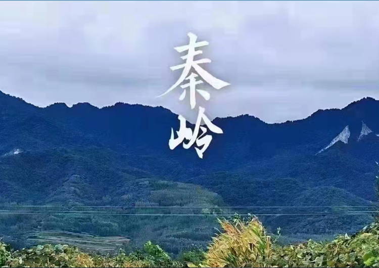 秦岭山下食趣果业企业店