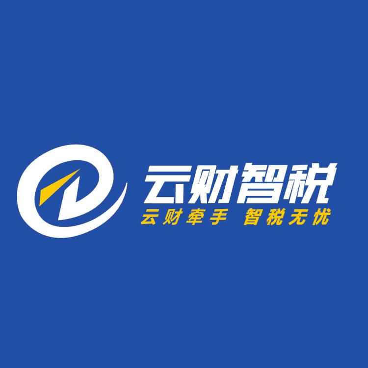 云财智税