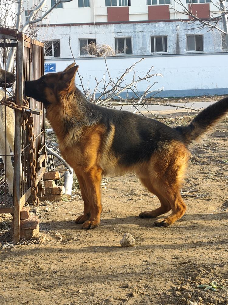 昌邑市石埠春明农资销售部的小店个体店