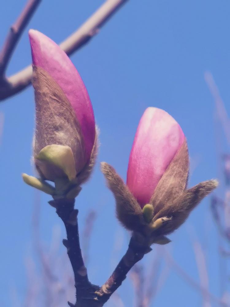 饶阳县爱眼明眸日用品店的小店个体店