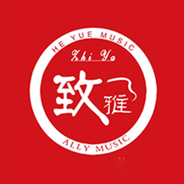 致雅卓乐乐器专卖店