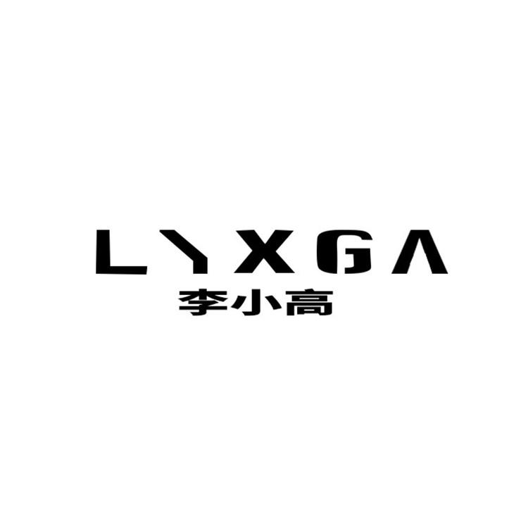 LIXGA李小高增高鞋