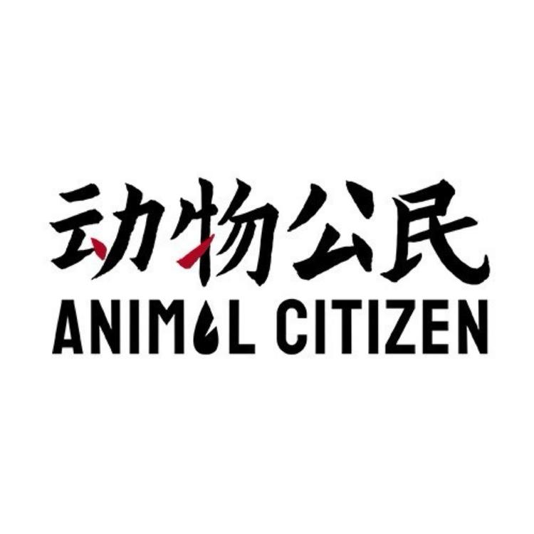 动物追踪手链