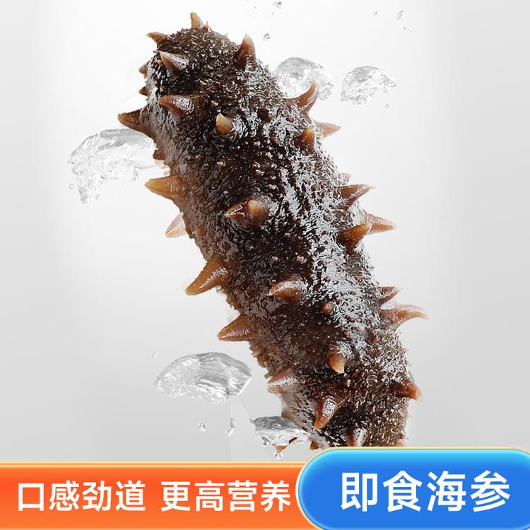 呦呦鲜食海参1