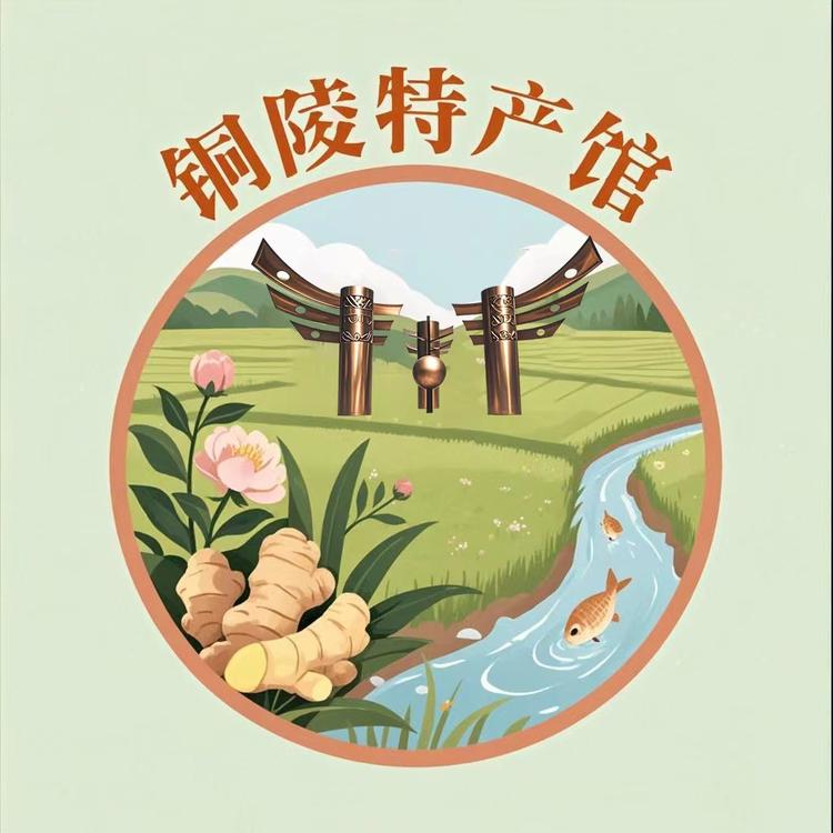 铜陵特产馆