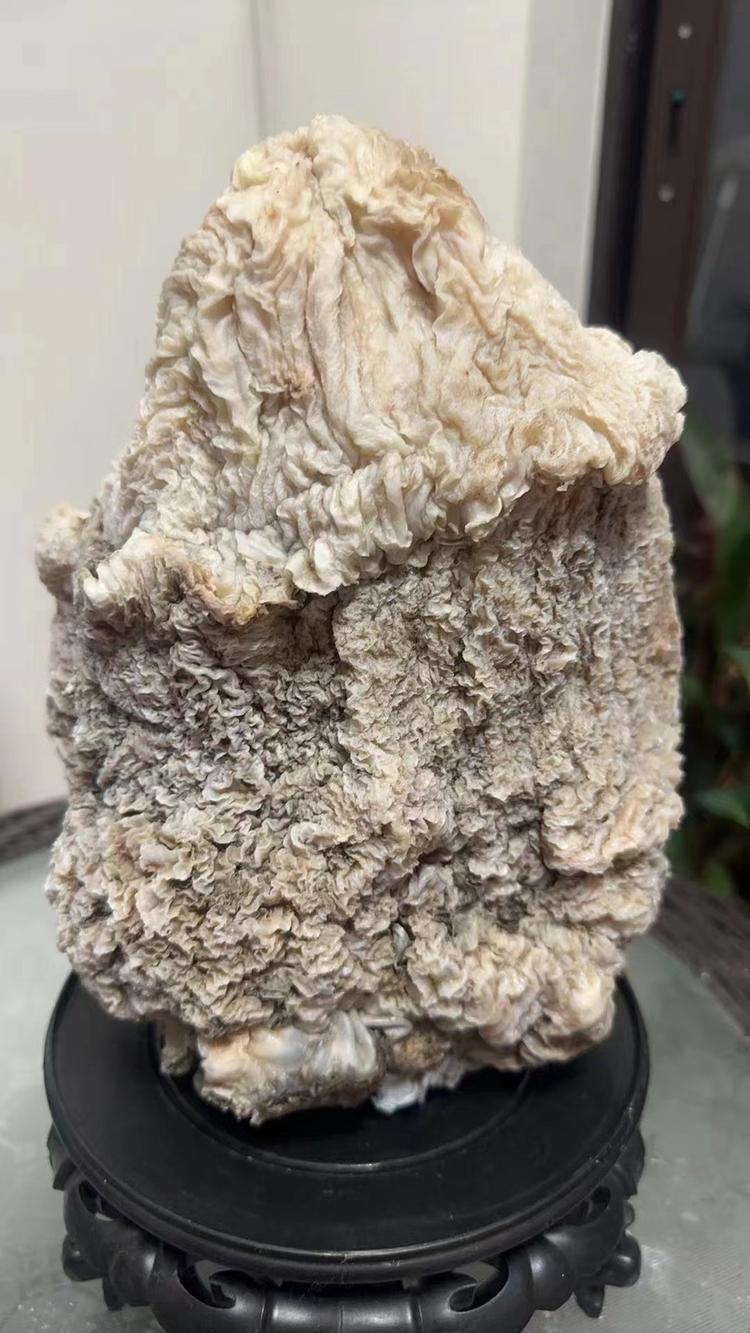 国宝太岁收藏馆