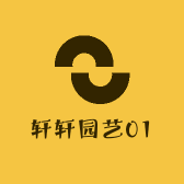 轩轩园艺01