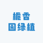 栀香园绿植