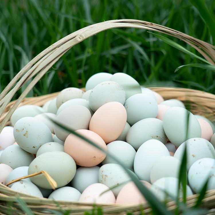 重庆小果果农产品