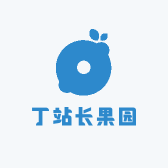 丁站长果园