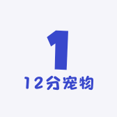 12分宠物食品店
