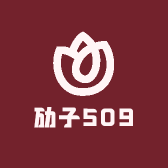 劢子509