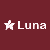 Luna Clasp绾月发饰