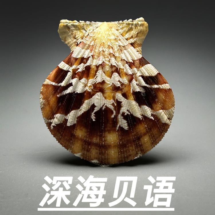 深海贝语