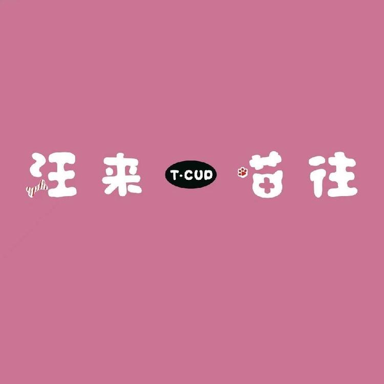 汪来喵往