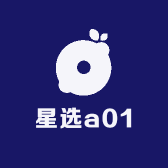 星选a01