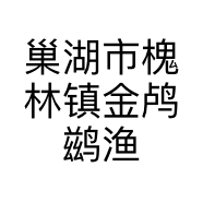 巢湖市槐林镇金鸬鹚渔网厂的小店个体店