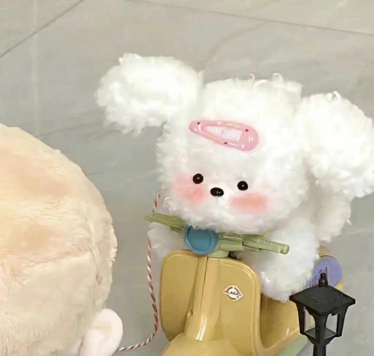 一条咸鱼