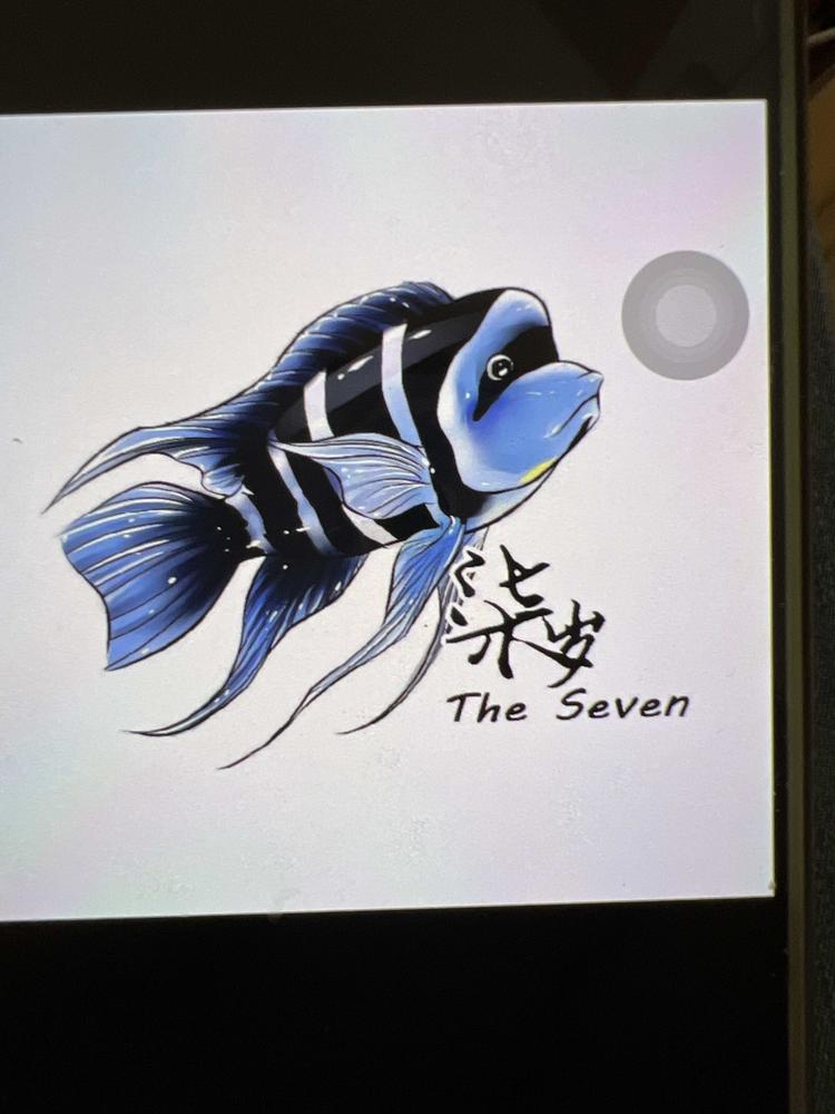 柒岁的水族小店