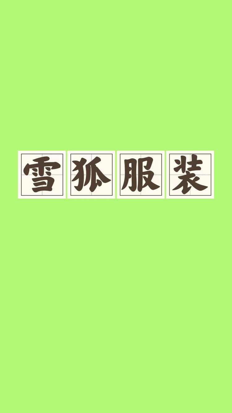 雪狐服装个体店