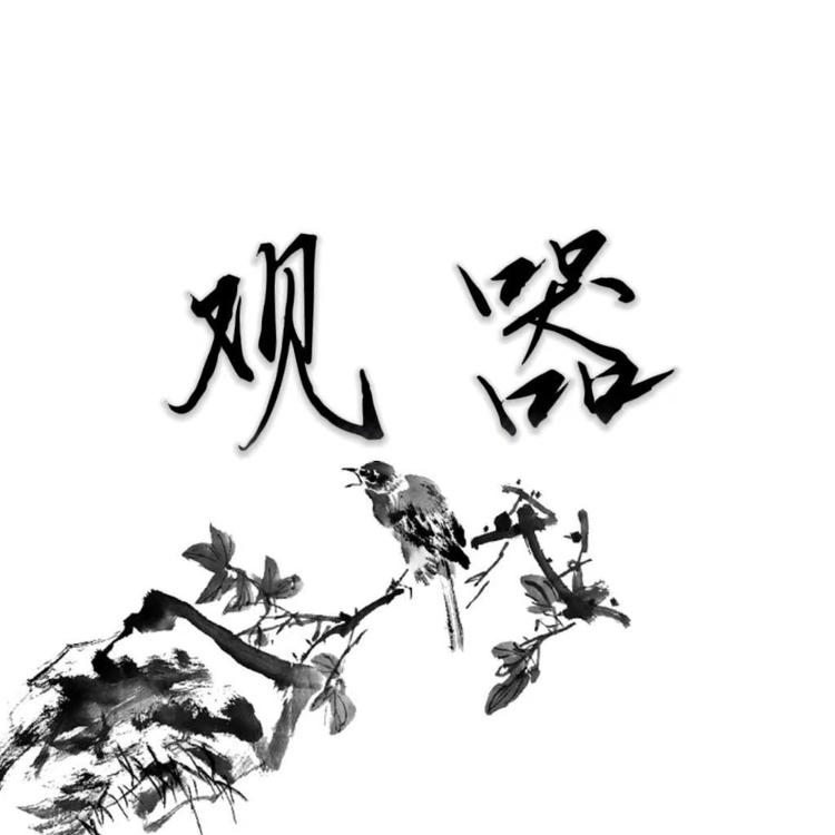 观器