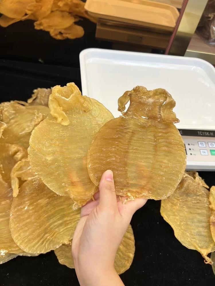 贞姐鱼胶