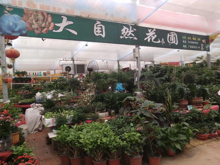 潍坊高新区美玲花卉经销处的小店