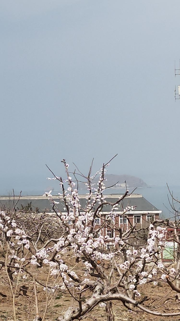 三合服装店LMT