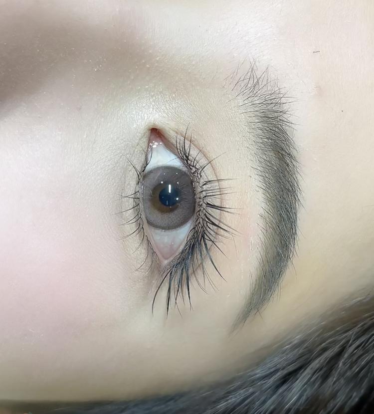 蓝蓝的睫毛研究所