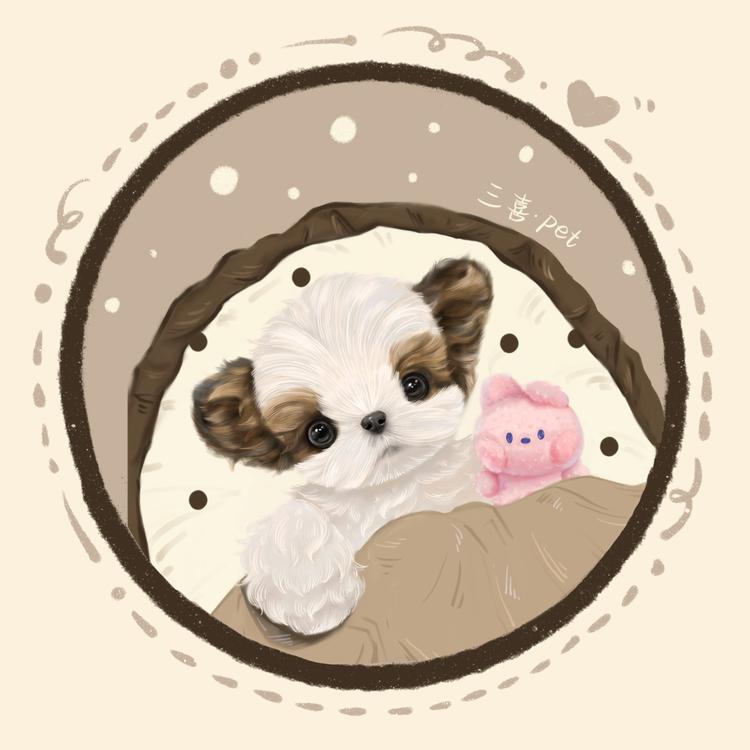 三喜的宠物商店