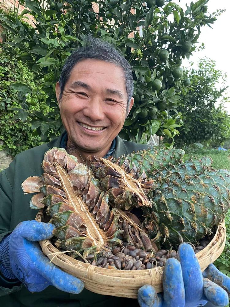 老罗鲜果