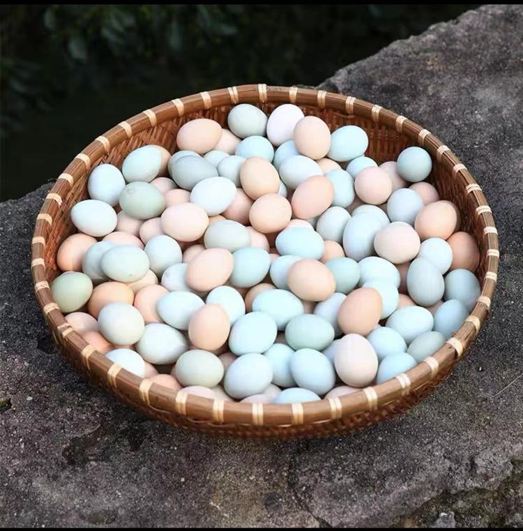 乡村阿山土特产