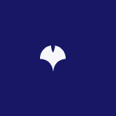 创域大师精选手机数码