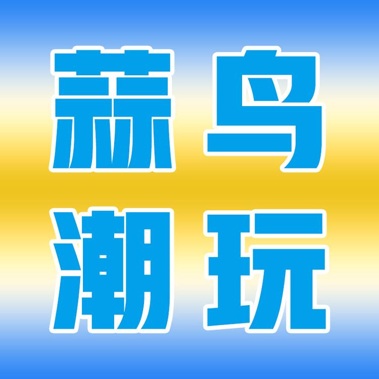 蒜鸟潮玩