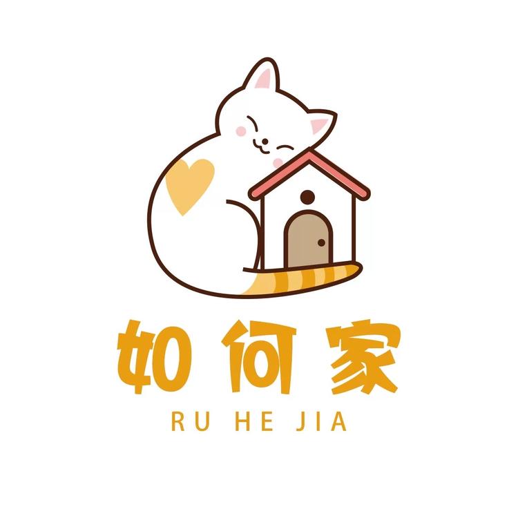 成都如何家的猫