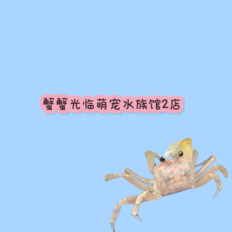 蟹蟹光临2店