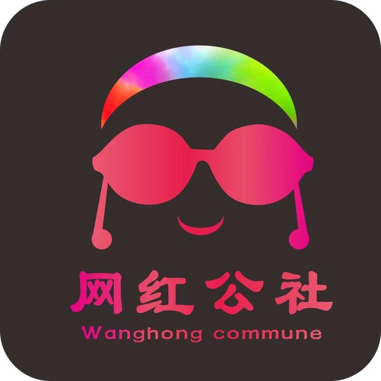 湖南网红公社文化有限公司
