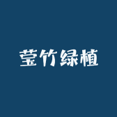 莹竹绿植