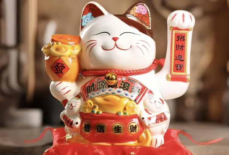 喵猫招才猫