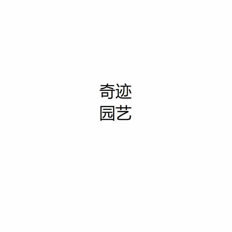 昆明市高新技术产业开发区奇迹多肉花卉店的小店个体店