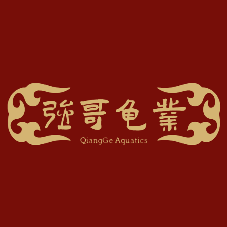 强哥龟业