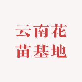 云南花苗基地