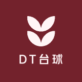 DT台球器材