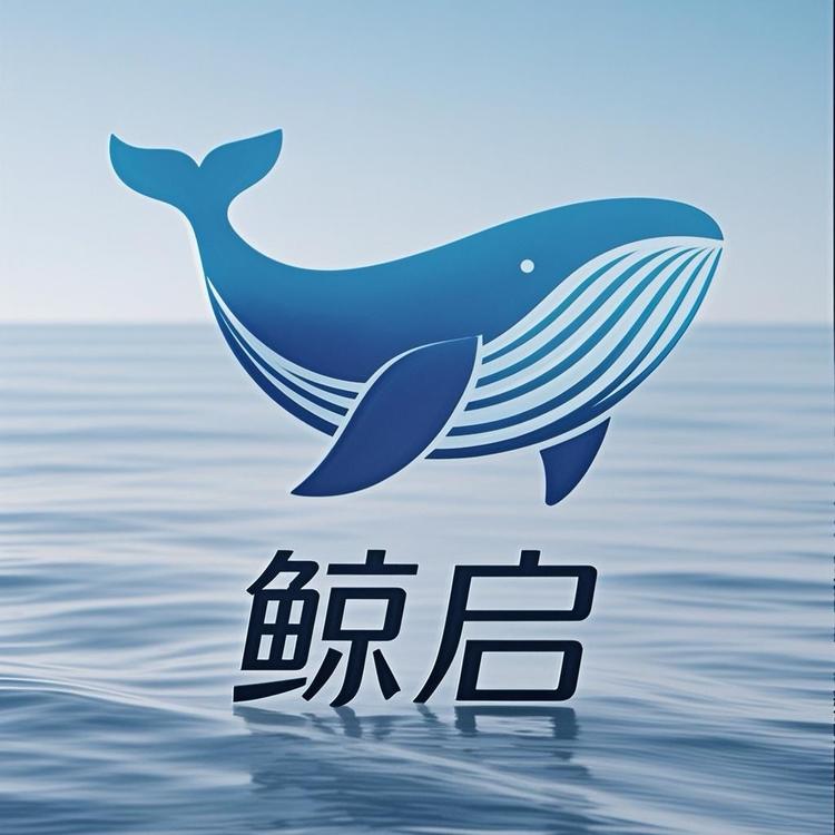 鲸启洗护