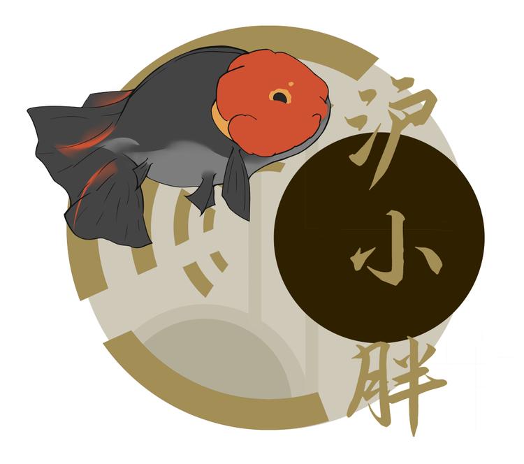 沪小胖兰寿金鱼