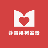 蓉慧果树盆景